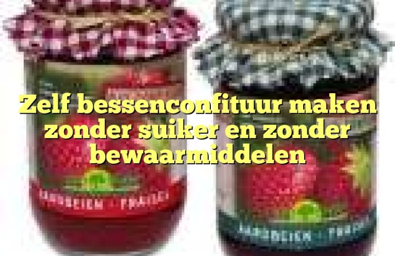 Zelf bessenconfituur maken zonder suiker en zonder bewaarmiddelen