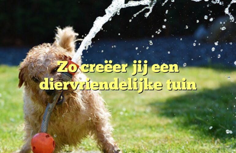 Zo creëer jij een diervriendelijke tuin