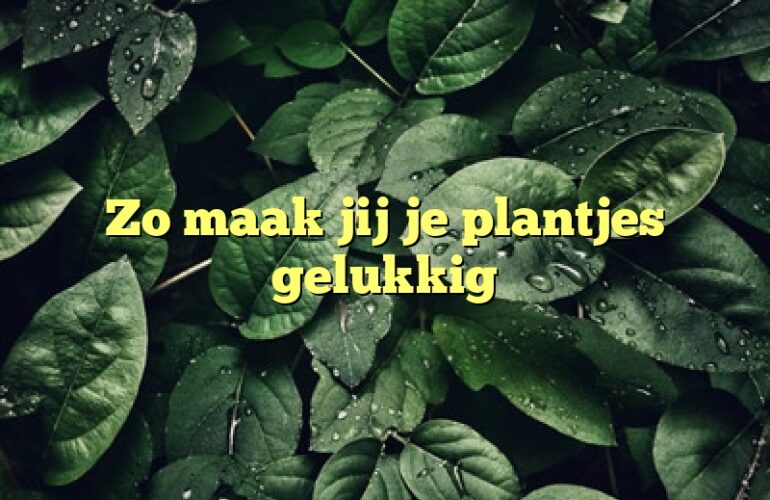 Zo maak jij je plantjes gelukkig