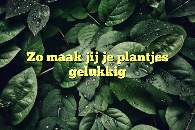 Zo maak jij je plantjes gelukkig