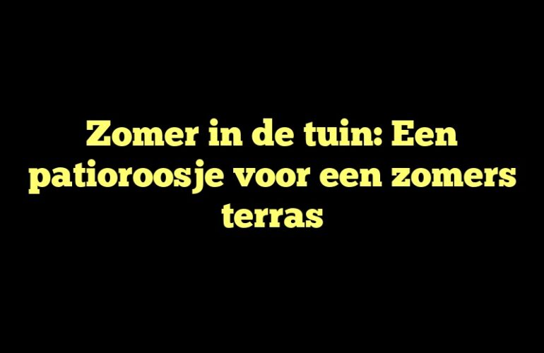 Zomer in de tuin: Een patioroosje voor een zomers terras