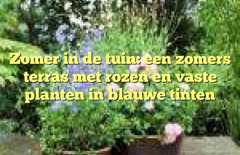 Zomer in de tuin: een zomers terras met rozen en vaste planten in blauwe tinten