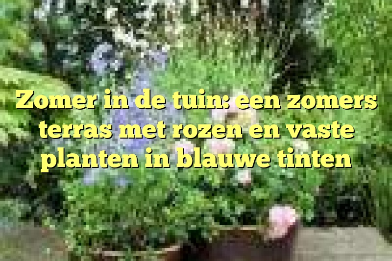 Zomer in de tuin: een zomers terras met rozen en vaste planten in blauwe tinten