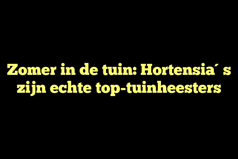 Zomer in de tuin: Hortensia´s zijn echte top-tuinheesters