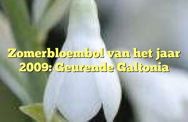 Zomerbloembol van het jaar 2009: Geurende Galtonia