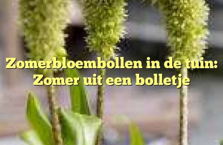 Zomerbloembollen in de tuin: Zomer uit een bolletje