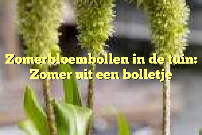 Zomerbloembollen in de tuin: Zomer uit een bolletje