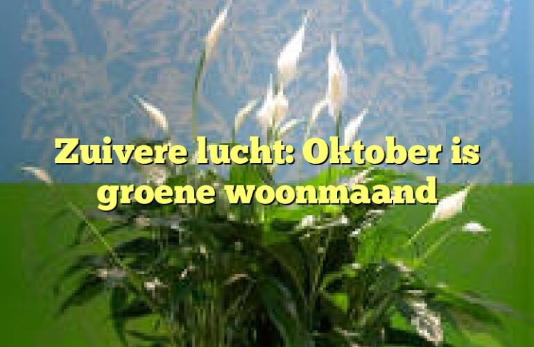 Zuivere lucht: Oktober is groene woonmaand